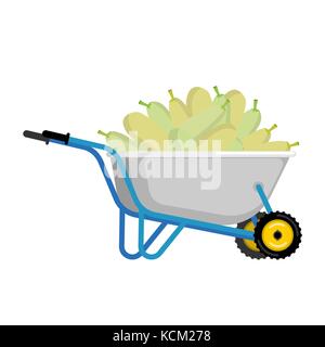 Schubkarren und Zucchini Gemüse im Garten Trolley. grosse Ernte Vector Illustration Stock Vektor