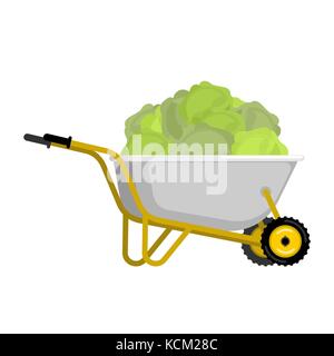 Schubkarre und Kohl. Gemüse im Garten Trolley. grosse Ernte Vector Illustration Stock Vektor