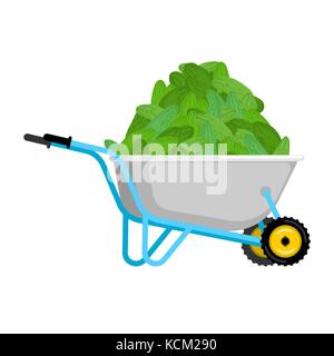 Schubkarre und Gurke. Gemüse im Garten Trolley. grosse Ernte Vector Illustration Stock Vektor