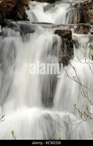 Kaskaden auf Nant Y Llyn zwischen den beiden wichtigsten Wasserfälle. Stockfoto