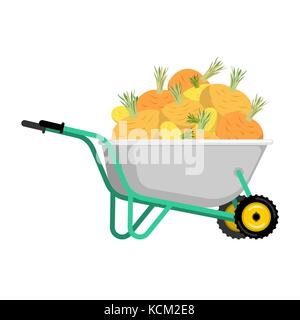 Schubkarren und Rübe. Gemüse im Garten Trolley. grosse Ernte Vector Illustration Stock Vektor