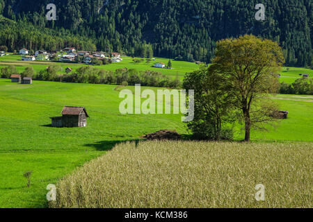 Viele kleine Scheunen in grünen Feldern, in der Nähe von Imst, Österreich Stockfoto