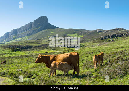 Eine Sgùrr, oder der Sgurr von Eigg, von der Spur zu Galmisdale Grulin, oben auf der Isle of Eigg, Schottland, UK Stockfoto