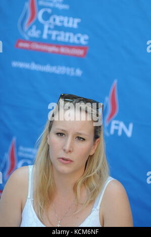 Die Kandidaten der Front National (FN) für die Regionalwahlen halten eine Pressekonferenz in Ars-sur-Formans, Ain, Frankreich Stockfoto