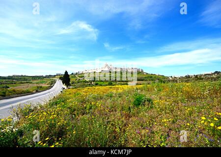 Schönen Frühling Felder mit Blick auf die Zitadelle, Mdina, Malta, Europa. Stockfoto