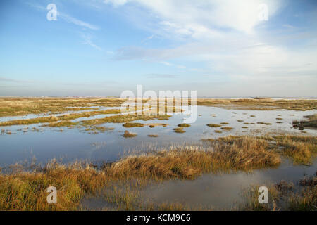 Villafafila villafafila Lagune (See) Salina grande, Zamora, Castilla y Leon, Spanien. Stockfoto