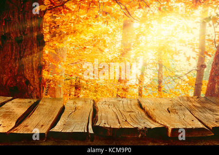 Herbst Hintergrund Natur. Tischplatte mit fallenden Blättern. Herbst Tabelle mit Wald. Tabelle in der Natur Stockfoto