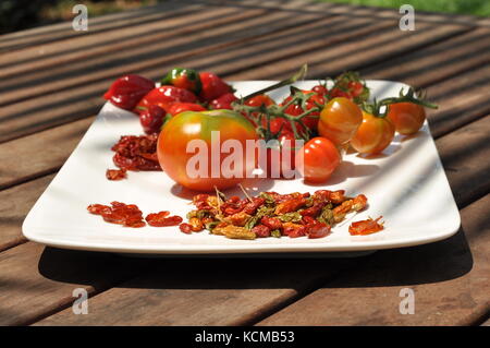 Bio Tomaten und Chili machen eine fantastische Kombination der Farben Stockfoto