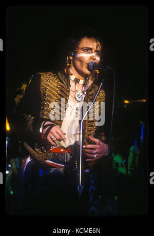 Adam und die Ameisen die live bei The Roxy Theatre in Hollywood, CA USA am 13. April 1981.  Foto © Kevin Estrada / Medien Punch Stockfoto