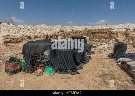 Rota Winery, Negev, Israel Stockfoto