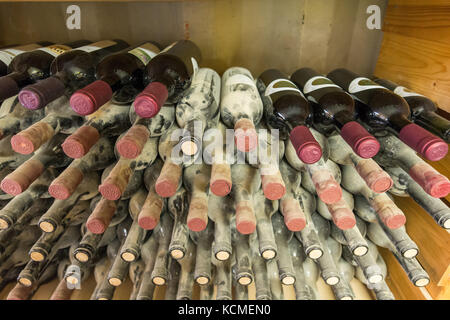 Rota Winery, Negev, Israel Stockfoto