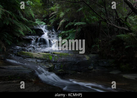 Weich fließendes Wasser über die Felsen in den üppigen Regenwald der Blue Mountains, Australien Stockfoto