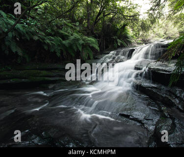 Weich fließendes Wasser über die Felsen in den üppigen Regenwald der Blue Mountains, Australien Stockfoto