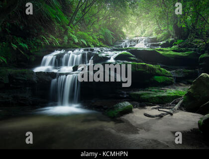 Weich fließendes Wasser über die Felsen in den üppigen Regenwald der Blue Mountains, Australien Stockfoto