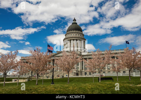 Kirschblüten, Utah State Capitol in Salt Lake City, Utah Stockfoto