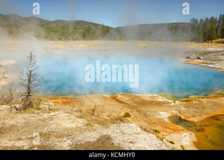 Biscuit basin Pool neben ein paar Km nördlich von Old Faithful im Yellowstone National Park Stockfoto