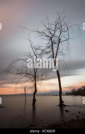 Langzeitbelichtung, Blick auf den See, mit Skelett Bäume, noch Wasser und warmen Sonnenuntergang Farben Stockfoto