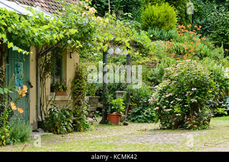 Weinreben (Vitis), Fingerhut (Digitalis), Hortensien (Hydrangea) und Taglilien (Hemerocallis) in einem Garten im Hinterhof Stockfoto