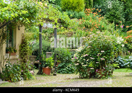 Weinreben (Vitis), Fingerhut (Digitalis), Hortensien (Hydrangea) und Taglilien (Hemerocallis) in einem Garten im Hinterhof Stockfoto