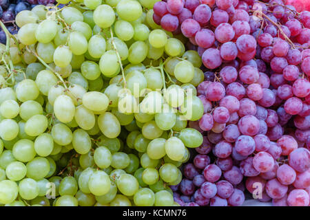 Frisch geernteten Trauben close-up Stockfoto