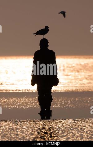 Sculpted Sir Antony Gormley Figuren mit Möwe auf dem Kopf bei Sonnenuntergang, einen anderen Ort Stockfoto