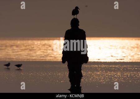 Sculpted Sir Antony Gormley Figuren mit Möwe auf dem Kopf bei Sonnenuntergang, einen anderen Ort Stockfoto