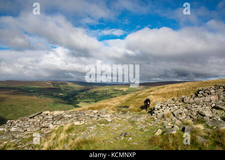 Wunderschöne Aussicht auf fremington arkengarthdale vom Rand in North Yorkshire, England. Ein Border Collie genießen einen Run auf die Kante. Stockfoto