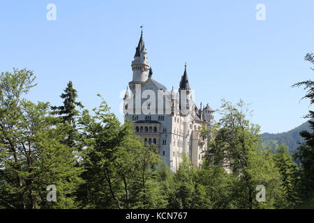 Schloss Neuschwanstein (neue Swan Schloss), Deutschland Stockfoto