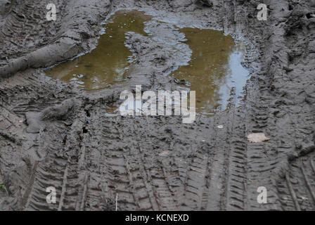 Spuren der Auto in einer schmutzigen Pfütze Stockfoto