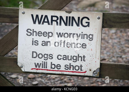 Nahaufnahme des Schildes "Warning Sheep sorgening is an Offense Hunde gefangen werden erschossen" auf der Stool End Farm, Great Langdale, Lake District National Park, Großbritannien Stockfoto