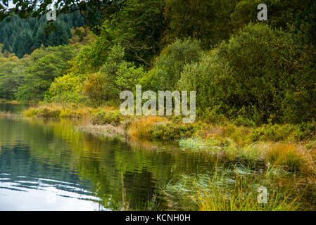 Anfang Herbst Farben auf Loch Ard Stockfoto