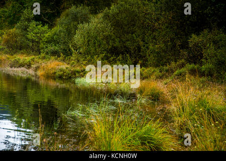 Anfang Herbst Farben auf Loch Ard Stockfoto