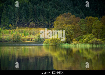 Anfang Herbst Farben auf Loch Ard Stockfoto