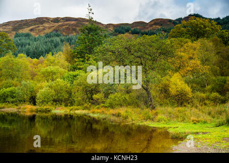 Anfang Herbst Farben auf Loch Ard Stockfoto