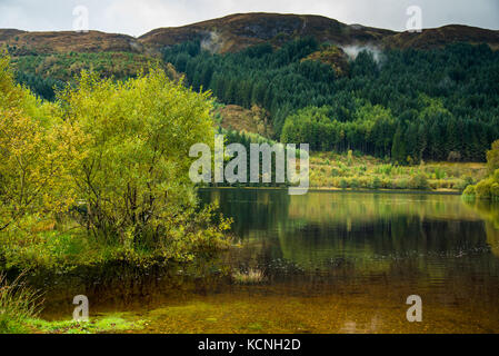 Anfang Herbst Farben auf Loch Ard Stockfoto