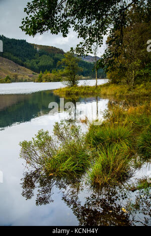 Anfang Herbst Farben auf Loch Ard Stockfoto