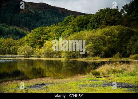 Anfang Herbst Farben auf Loch Ard Stockfoto