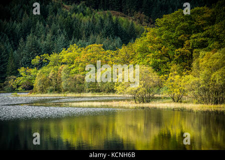 Anfang Herbst Farben auf Loch Ard Stockfoto