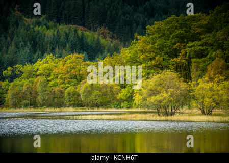 Anfang Herbst Farben auf Loch Ard Stockfoto