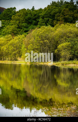 Anfang Herbst Farben auf Loch Ard Stockfoto