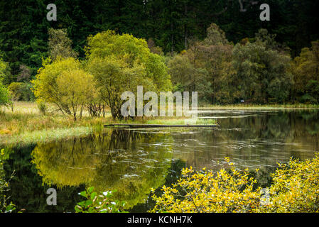 Anfang Herbst Farben auf Loch Ard Stockfoto