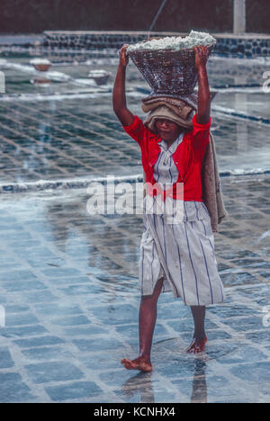 Tamarin Salz Felder, Rivière Noire, Mauritius Stockfoto