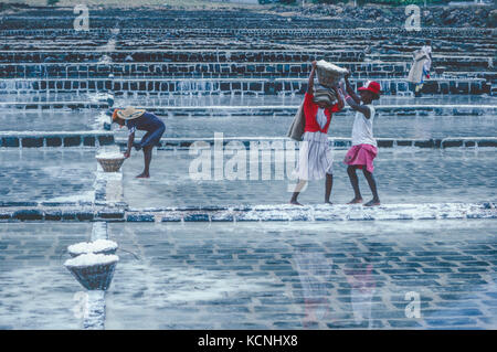 Tamarin Salz Felder, Rivière Noire, Mauritius Stockfoto