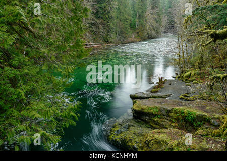 Engländer River Falls Provincial Park, Vancouver Island, BC, Kanada Stockfoto