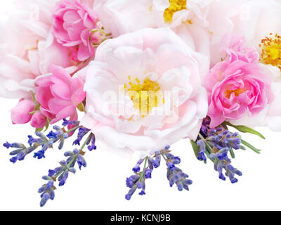 Große pale pink und kleinen hellen rosa Rosen und Lavendel Blumenstrauß isoliert auf weißem Stockfoto