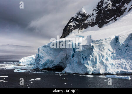 Vergletscherte Eis langsam Schnäbel aus in Wasser nahe pleneau Island, Antarktische Halbinsel, Antarktis Stockfoto