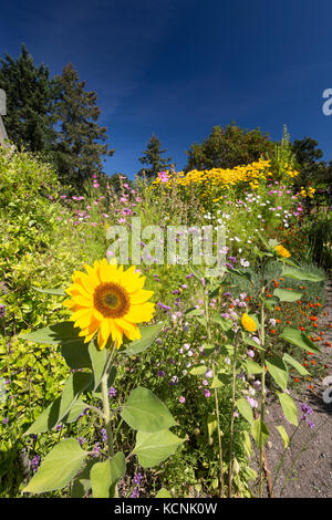 Gelegen 12 km nördlich von der Innenstadt von Victoria, der Gartenbau Zentrum des Pazifik begrüßt Besucher es ist öffentliche Gärten, für die von Freiwilligen, Mitarbeiter und Studenten gepflegt. Victoria, Vancouver Island, British Columbia, Kanada Stockfoto