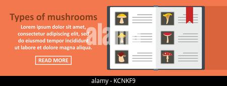 Arten von Pilzen banner horizontale Konzept Stock Vektor