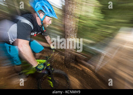 Ein bewegungsorientierter Mountainbiker bereitet sich auf die Überquerung der neu erbauten Sykes Bridge vor, während er auf einem der vielen Mountainbike-Strecken in der Cumberland-Gegend, Cumberland, dem Comox Valley, Vancouver Island, British Columbia, Kanada, unterwegs ist Stockfoto