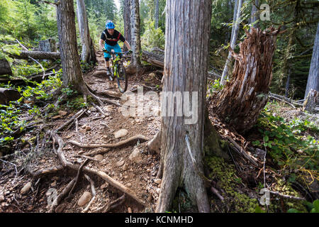 Cumberland's 'Off Broadway' ein steiler Single Track Mountainbike Trail ist im Allgemeinen für fortgeschrittene Mountainbiker, Cumberland, The Comox Valley, Vancouver Island, British Columbia, Kanada reserviert. Stockfoto